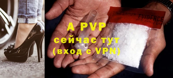 стаф Пестово