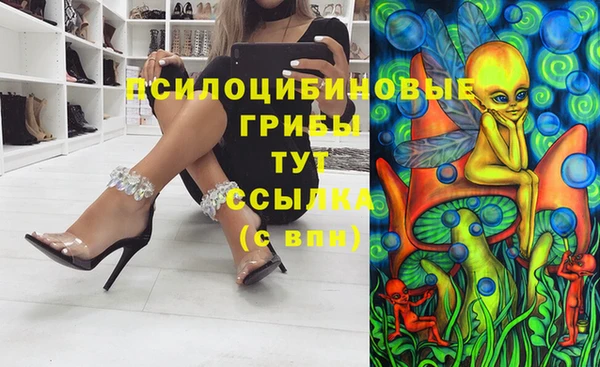 мяу мяу мука Переславль-Залесский