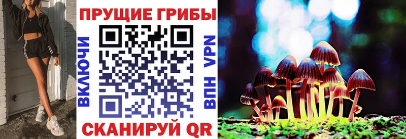 Галлюциногенные грибы Cubensis  Купить где  Анива 